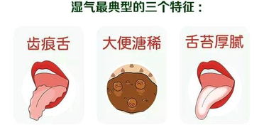 奇亚籽湿气重的人可以吃吗 奇亚籽为啥越吃越胖