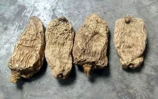 天麻俗称什么 天麻有几种叫法