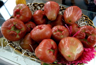 女人经常吃莲雾会怎么样 莲雾和什么相克