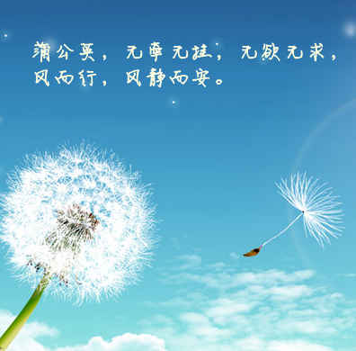 女人就像蒲公英的说说 蒲公英最有禅意的句子