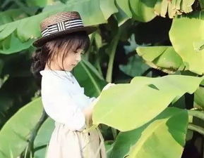 女生用蓝桉是什么意思 一个女生取名蓝桉