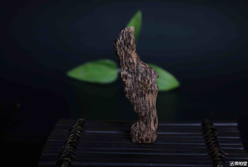 女生为何不适合戴沉香 为什么沉香招鬼