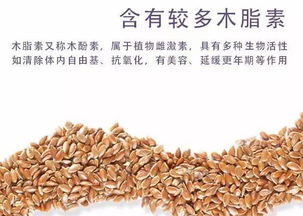 女性常吃亚麻籽的好处 三类人不适合吃亚麻籽