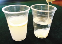 奶油的主要成分是什么 奶油的用途