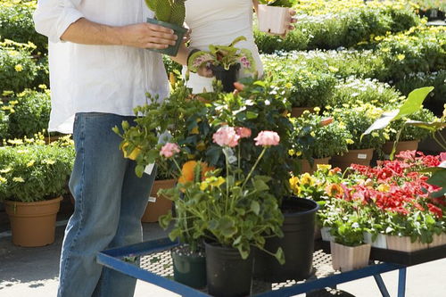 好闺蜜送花的幽默说说 收到闺蜜鲜花的心情说说