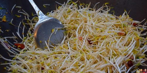 如何泡发绿豆芽 绿豆芽最好吃的做法