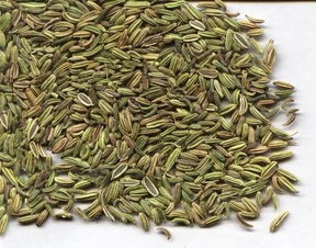 孜然是茴香吗 孜然就是小茴香吗