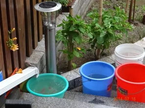 存半年的雨水能浇花吗 为啥用雨水浇花会死
