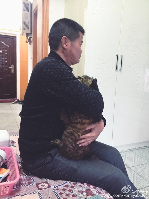 家中养龙柳好不好 龙柳三种人不能养