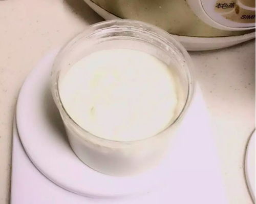 家庭自制奶油 新手学做奶油