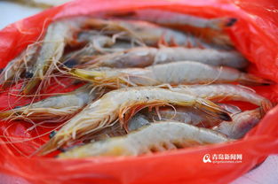 对虾之所以叫对虾是因为 对虾和基围虾哪个贵