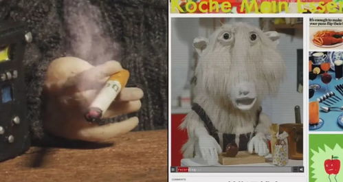 对付邻居养羊最狠的方法 邻居在我一墙之隔养羊