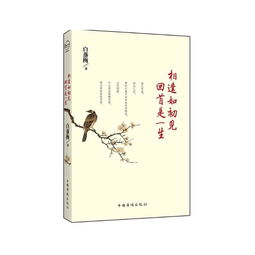 对面相逢不识君的上句 初见君时不识君下一句