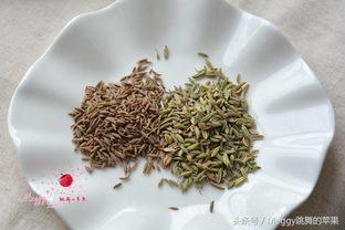 小茴香能代替孜然吗 小茴香菜为啥尽量少吃