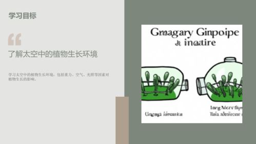 小学一年级植物50字 一年级简单植物介绍