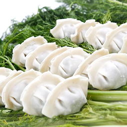 小茴香和莳萝是一个东西吗 莳萝就是茴香菜吗