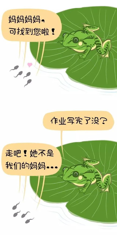 小蝌蚪说荷叶是我的什么 荷花说荷叶是我的神