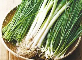 小葱和大葱的功效一样吗 小葱和大葱是一个品种吗