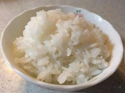 小麦可以煮米饭吗 麦粒米饭的做法