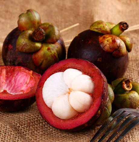 山竹水果多少钱一斤 山竹一天最多吃几个