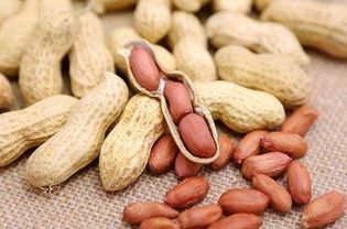 山东新花生几月上市 2023新鲜花生啥时候上市