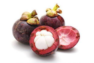 山竹的心黄了是坏了吗 怎么判断山竹是否坏了