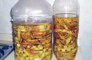 尿可以当花肥浇花吗 小便放几天才可以当肥料