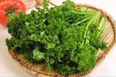 山东苔菜的学名叫什么 山东人说的苔菜是什么