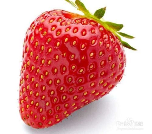 川断危害有多大 川断一次泡几粒