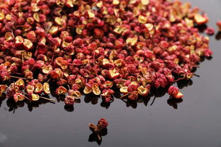 川椒别名叫什么 花椒就是川椒吗