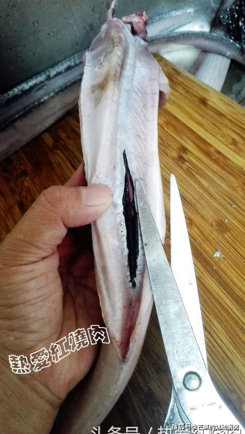 带鱼去除白色妙招 怎样快速洗去带鱼白皮