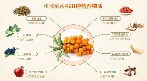 干沙棘泡水的正确方法 沙棘干泡水一天需几粒