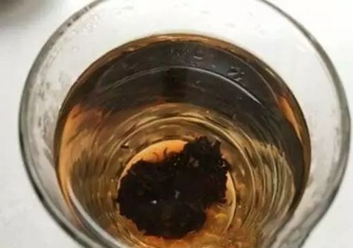 干紫苏叶泡水喝的危害 紫苏祛斑最快的方法