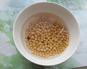 干青豆可以做豆浆吗 大青豆和黄豆的区别