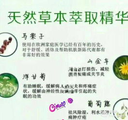 德国马栗膏骗局 马栗膏的危害到底有多大