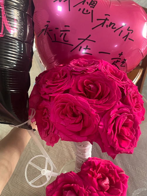 弗洛伊德玫瑰是什么品牌的专用花 弗洛伊德玫瑰属于高级玫瑰吗