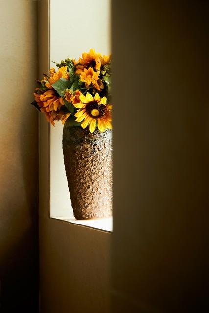 心守一抹暖阳,静待一树花开 静待一树花开的意思是什么