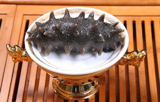 怎么确定干海参坏了 干海参过期的特征