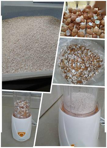 怎么知道咖啡渣已经腐熟 咖啡渣直接拌土了怎么办