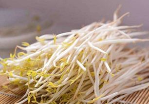 怎么生绿豆芽粗壮不生根 绿豆芽加糖发粗壮原理