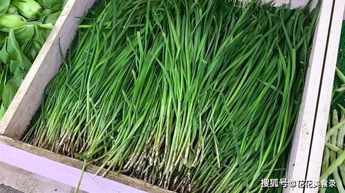 怎样保存韭菜十天不烂 韭菜存放一年都不坏