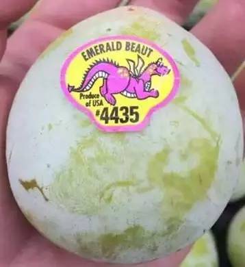 恐龙蛋水果有几个品种 恐龙蛋上火还是降火