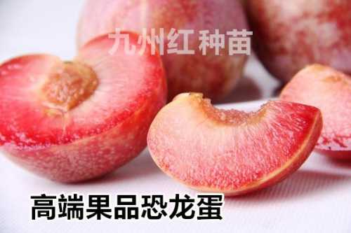恐龙蛋李子15块一个贵吗 黑布林和恐龙蛋哪个贵