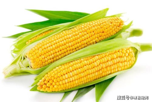 我国四大农作物是什么 四大粮食是哪四种