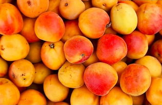 我家杏树六七年了为啥不接杏 不结杏子是咋回事