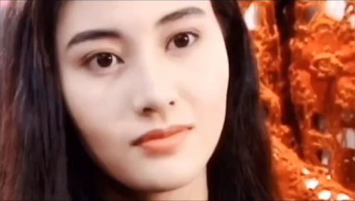 我早已为你种下999朵玫瑰 999朵玫瑰原版歌词