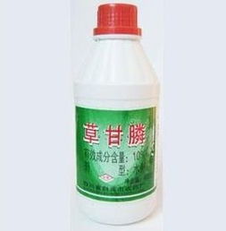 打了草甘膦的菜吃了会死 喷过草甘膦的菜多久可吃