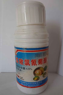 手摸了高效氯氰菊酯对人毒性 室内喷氯氰菊酯后几天挥发