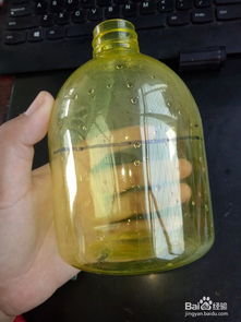 手工塑料瓶做花盆 用大塑料瓶做花盆的做法