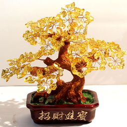 招财树放哪里最旺财 一进门看见招财树好吗